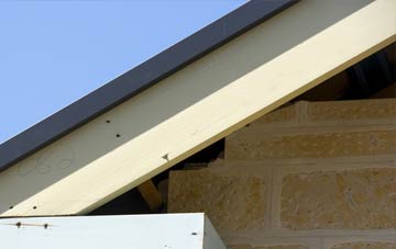 Pattiesmuir fascia repairs