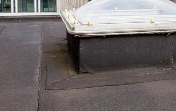 disadvantages of Pattiesmuir flat roofs