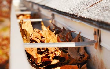 Pattiesmuir gutter cleaning companies