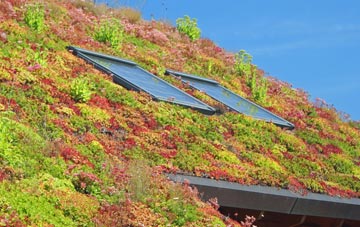 Pattiesmuir living roof systems