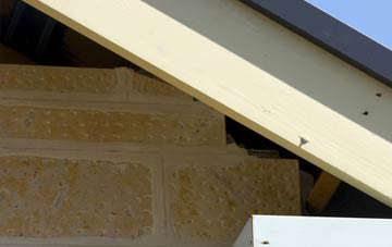 soffit repair Pattiesmuir