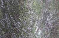 Pattiesmuir fibreglass roof work