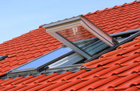 Pattiesmuir roof window